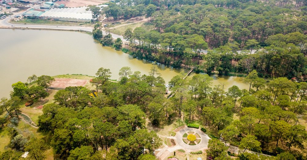 Rừng thông hồ Than Thở 