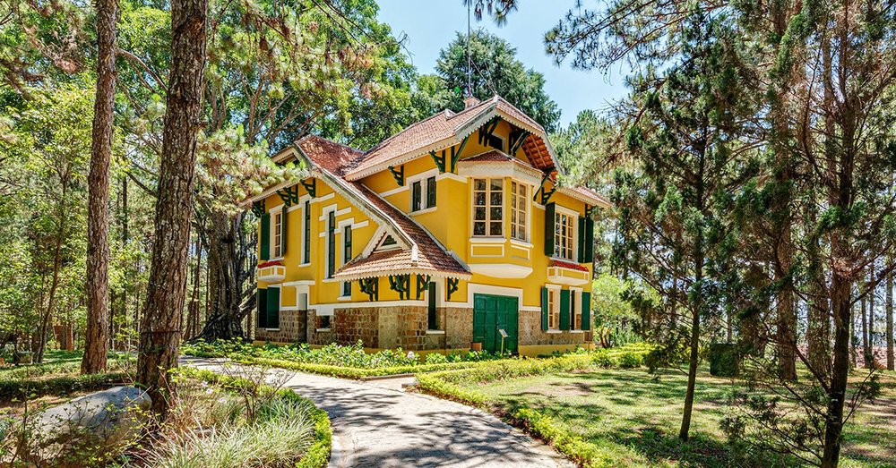 Rừng thông Dinh Bảo Đại