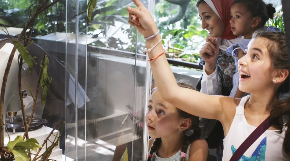 Kids will surely learn a ton of facts about wildlife.