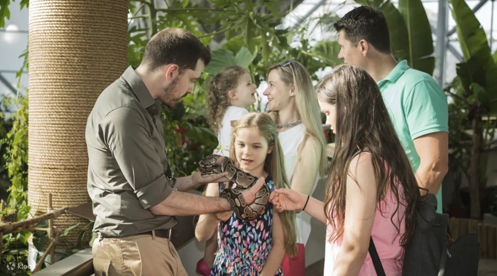 Are you brave enough to pet a snake?