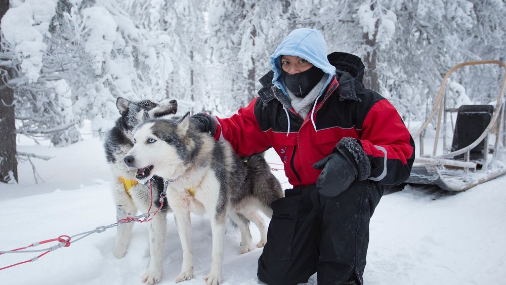 Meet these friendly pups on an exciting sled ride! Image credits: @tjalondo