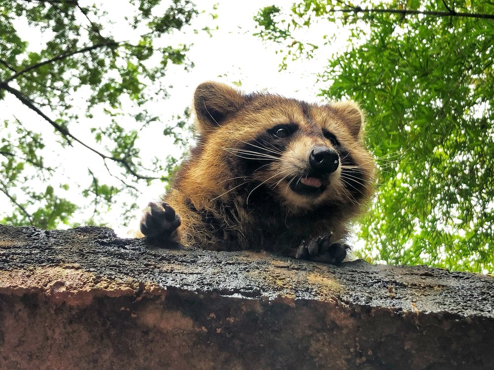 สวนสนุกลอสต์ เวิลด์ ออฟ ตัมบุน (Lost World of Tambun) ในอิโปห์ 2