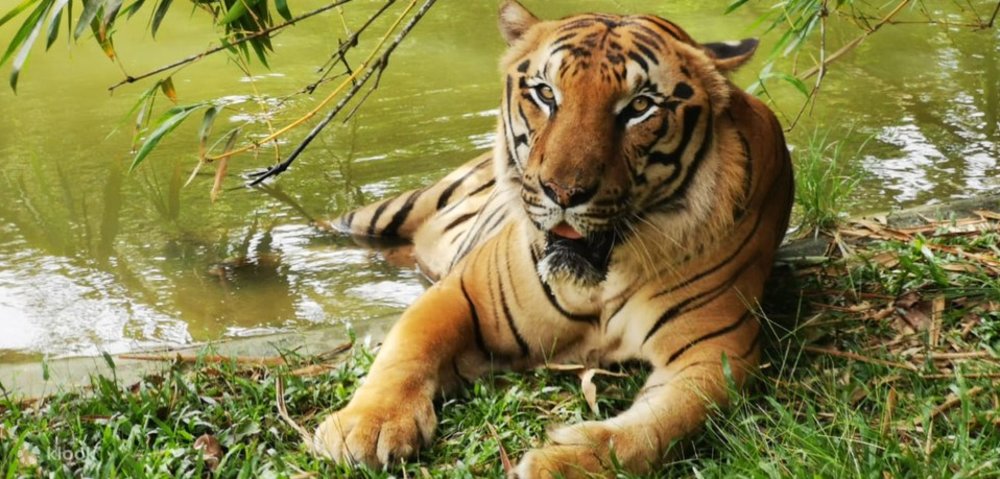 สวนน้ำอาฟาโมซา (A'Famosa Water Theme Park) ในมะละกา 4