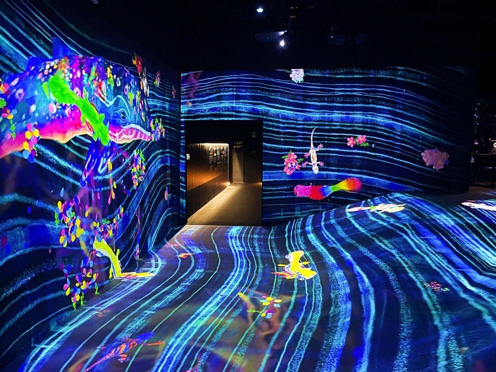 チームラボボーダレス 自分で描いた絵が作品の中で動きまわる