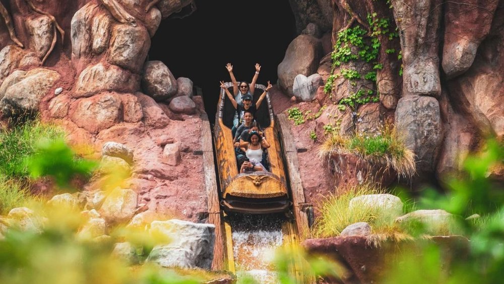 Word on the street is that Splash Mountain is getting a Princess and the Frog makeover. Credits: @themepark_fanatic_27 on Instagram