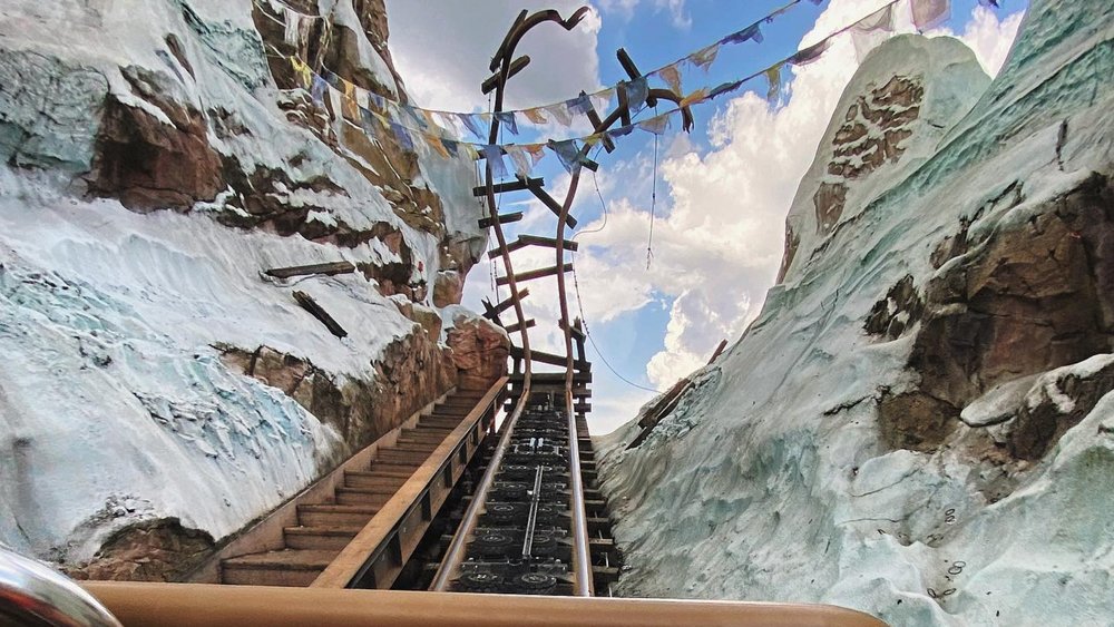 Feel the thrill as you escape the Yeti on Expedition Everest! Credits: @hundredacrehoodco