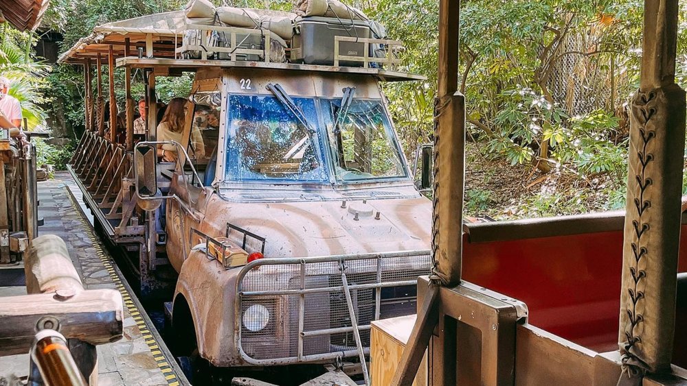 Join the safari tour to see the wilderness. Credits: @creativestatetravelco