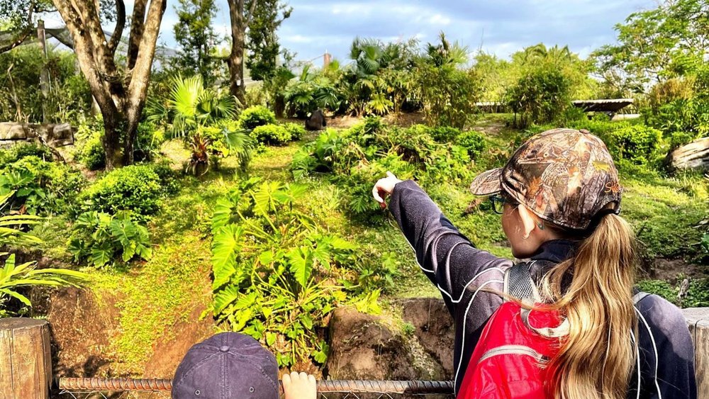 Stay alert for some gorilla sightings! Credits: @worldclassvip