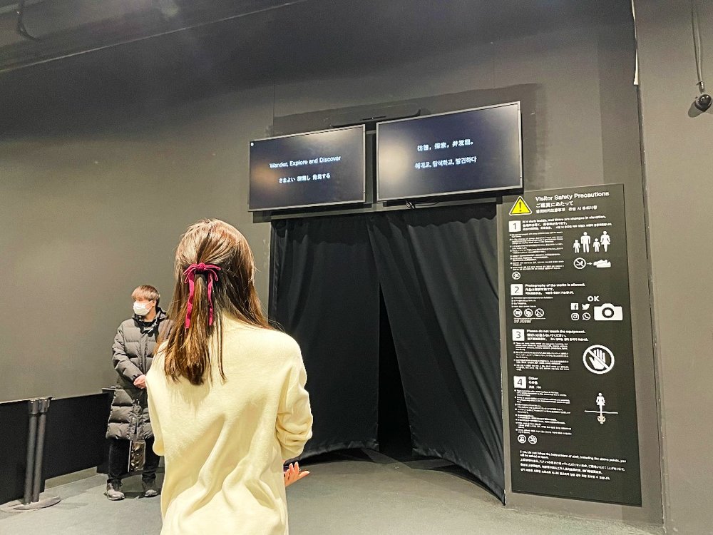 チームラボボーダレス　入り口前に立つ