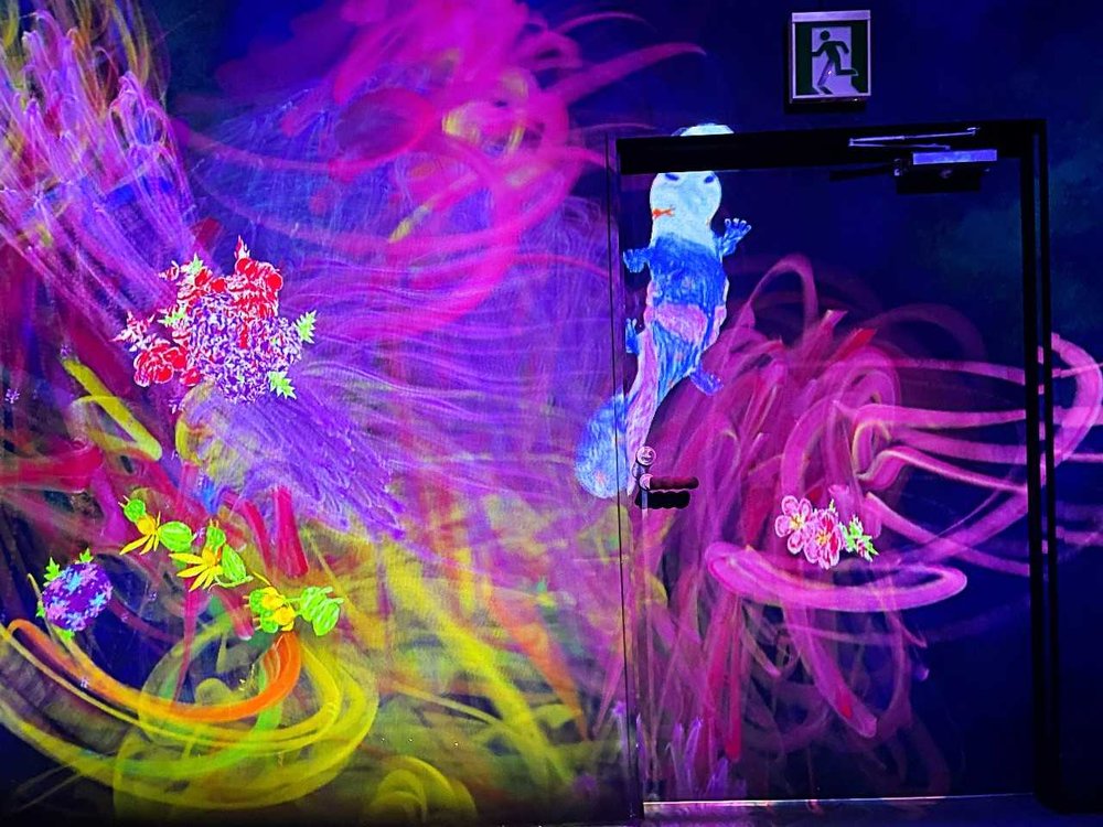 チームラボボーダレス グラフィティネイチャー