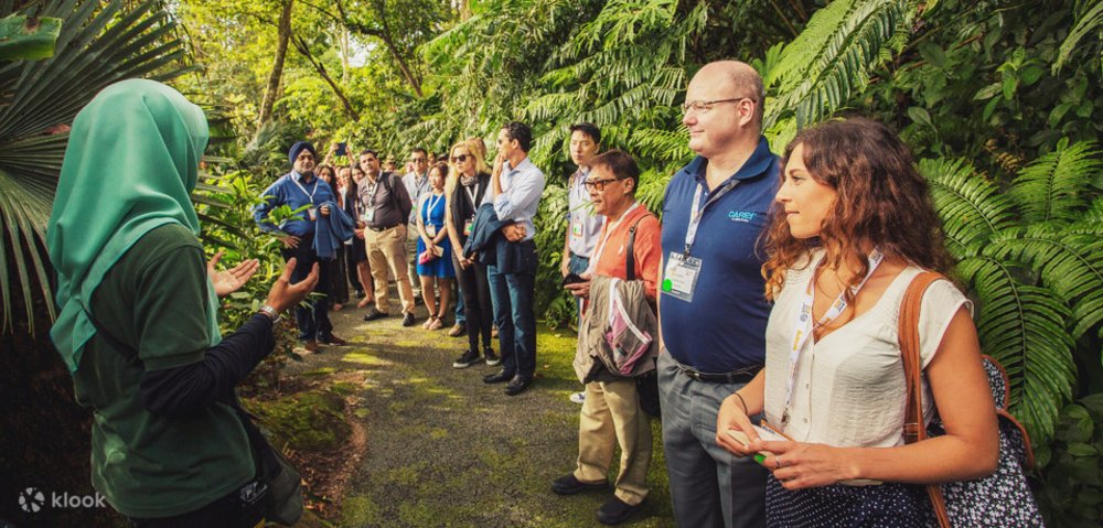 จุดชมธรรมชาติฮาบิแทต ปีนัง ฮิลล์ (Habitat Penang Hill) 2