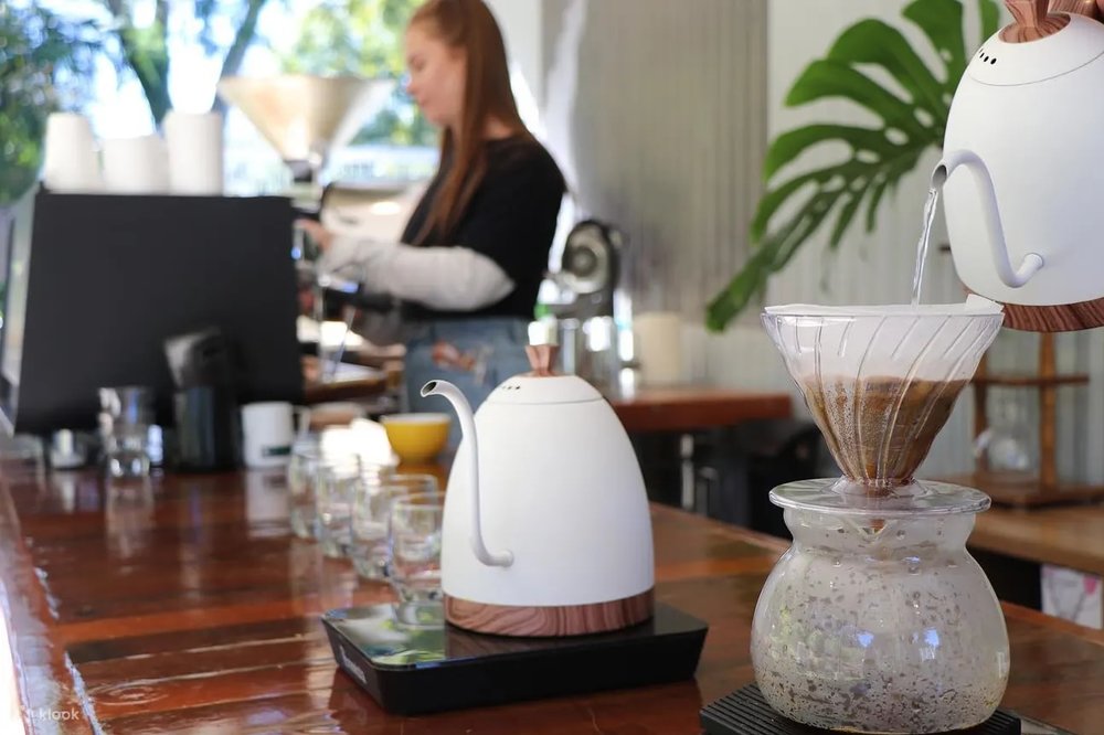 tamborine mountain coffee plantation