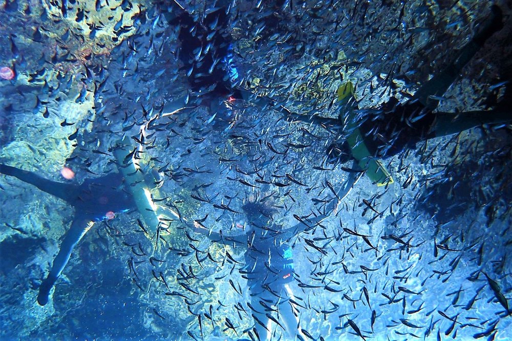 綠島潛點 柚子湖 藍洞