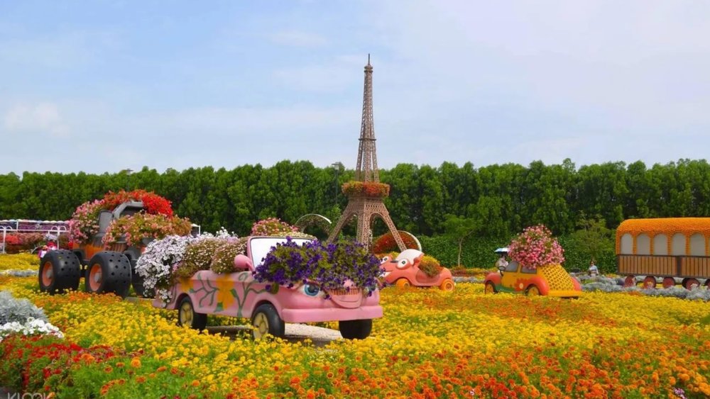 From flower cars to rose swans, seems like everything is possible at Dubai Miracle Garden
