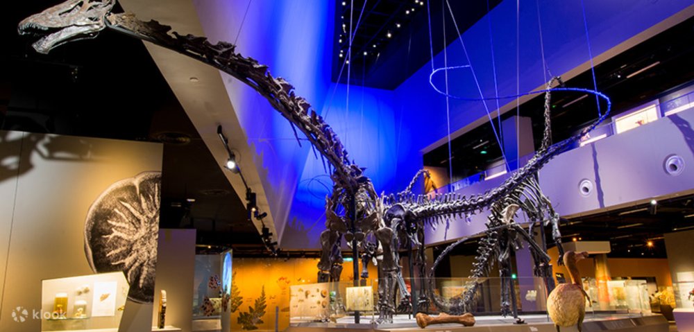  พิพิธภัณฑ์ประวัติศาสตร์ธรรมชาติ หลี่ กง เจียน (Lee Kong Chian Natural History Museum)