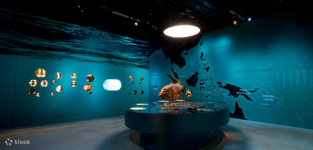  พิพิธภัณฑ์ประวัติศาสตร์ธรรมชาติ หลี่ กง เจียน (Lee Kong Chian Natural History Museum) 2