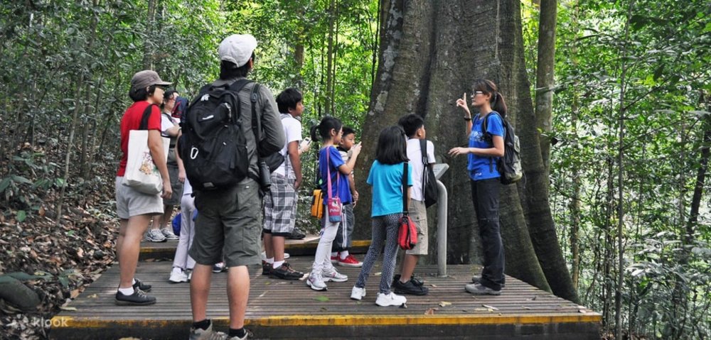  พิพิธภัณฑ์ประวัติศาสตร์ธรรมชาติ หลี่ กง เจียน (Lee Kong Chian Natural History Museum) 3