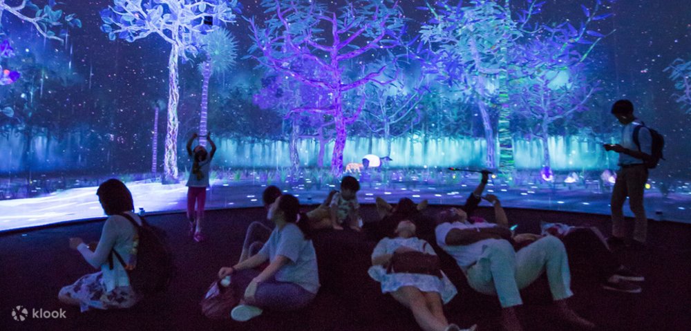 พิพิธภัณฑสถานแห่งชาติสิงคโปร์ (National Museum of Singapore) 3