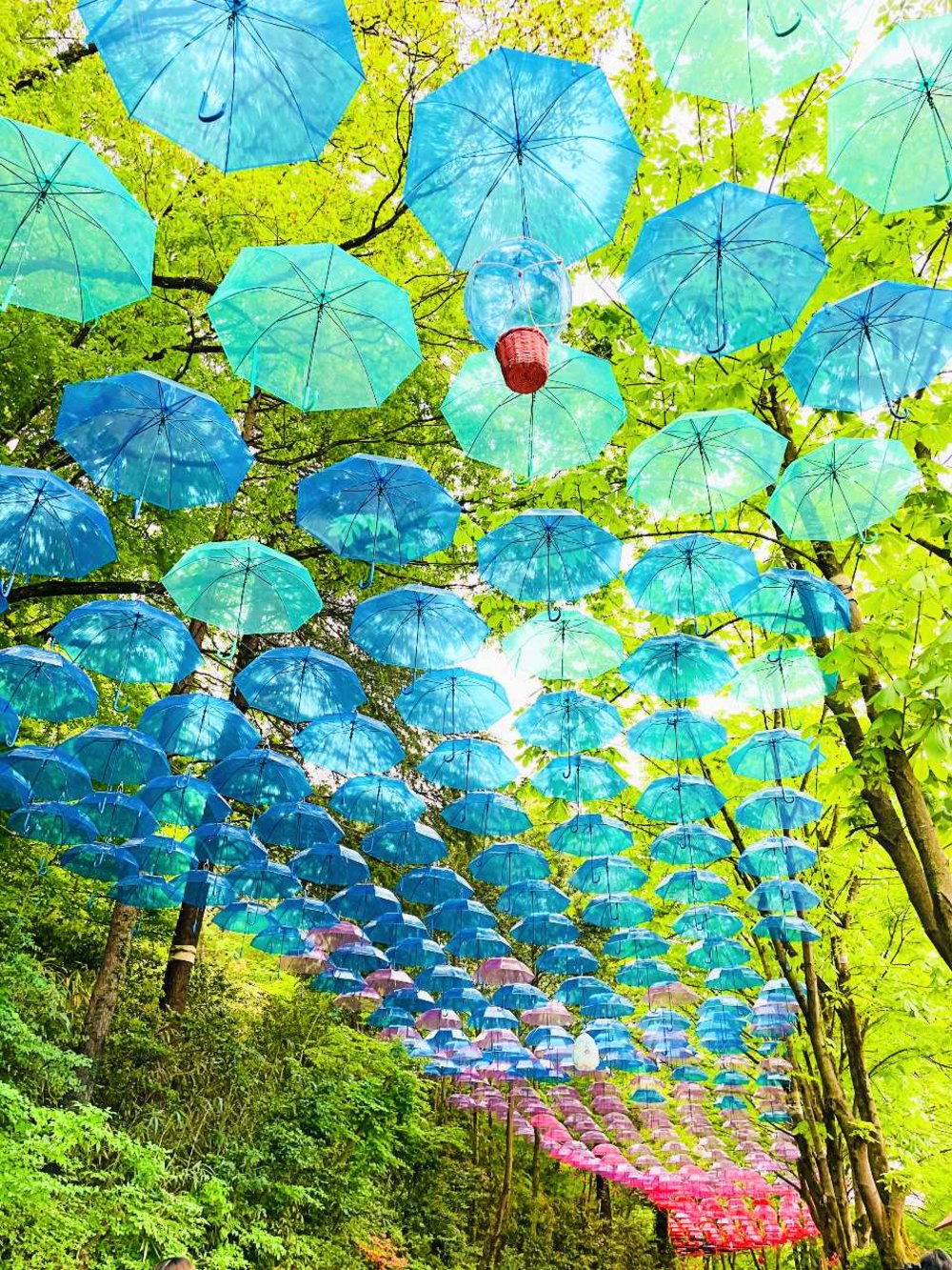 ムーミンバレーパーク アンブレラスカイ ブルーからレインボーまで