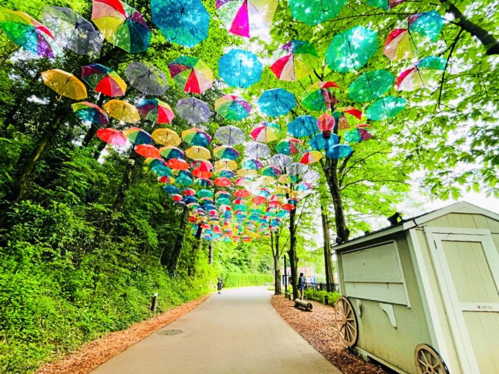 ムーミンバレーパーク アンブレラスカイ 後半のレインボー色の傘