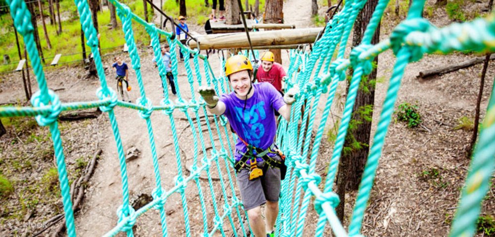 Tamborin mountain treetop challenge