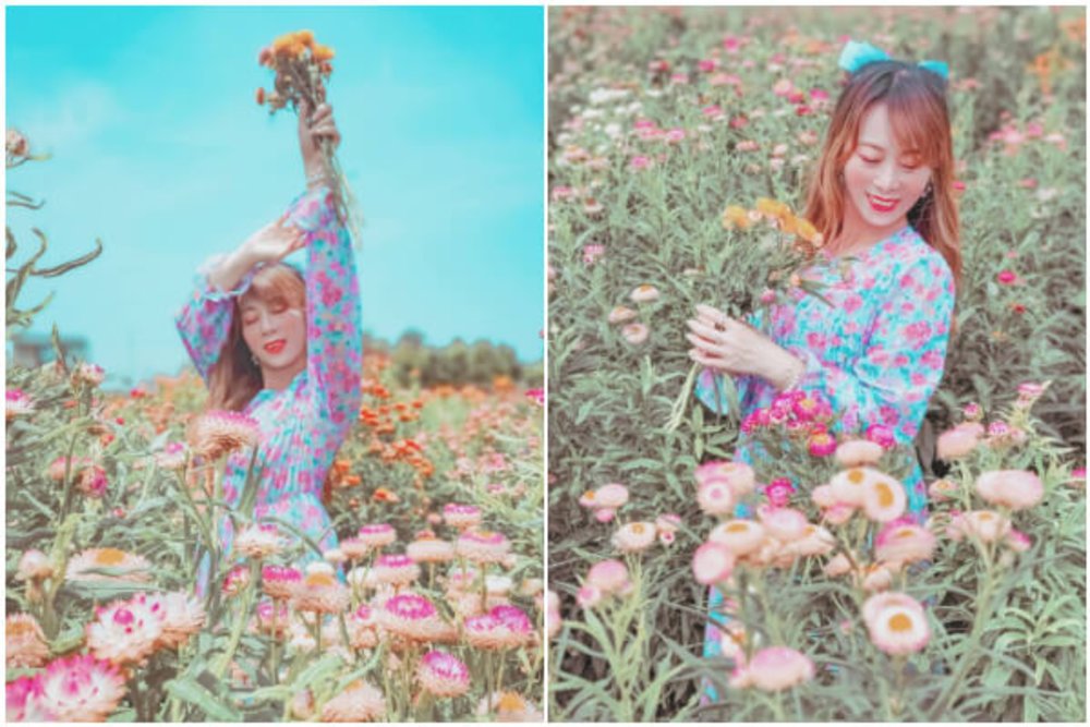 彰化景點:田尾公路花園