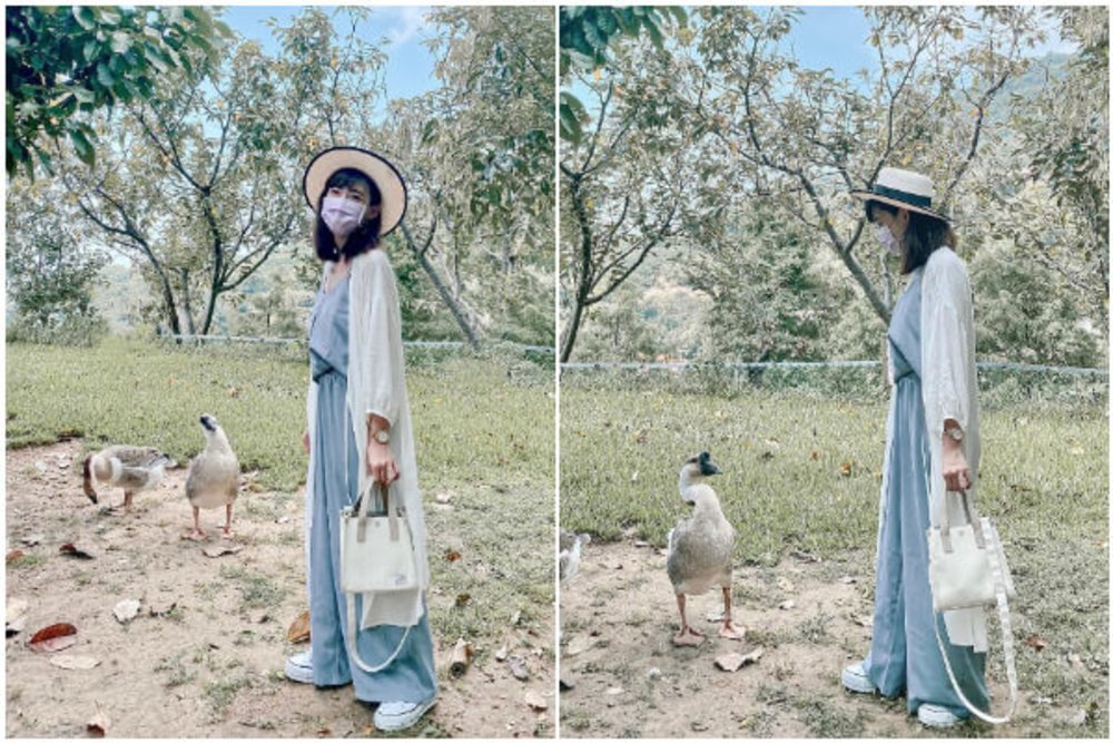 台北親子景點：桃樂絲森林