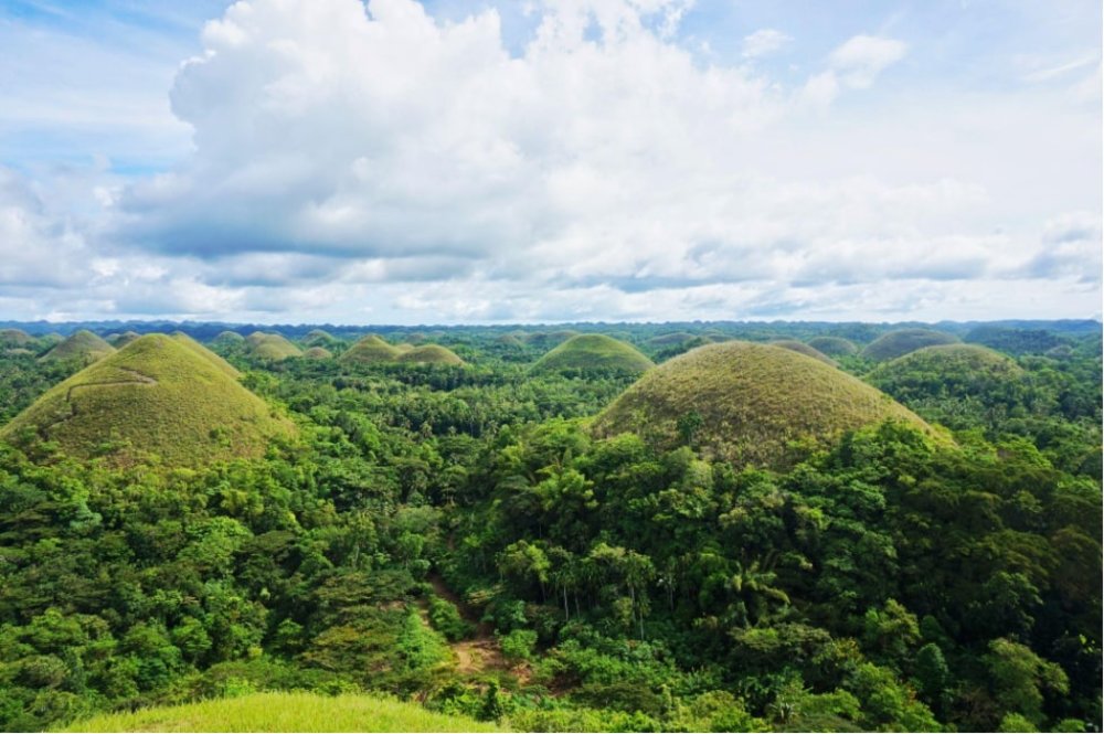 Chocolate Hills