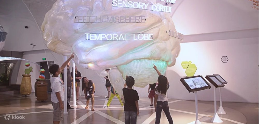 Kids around a big brain representation