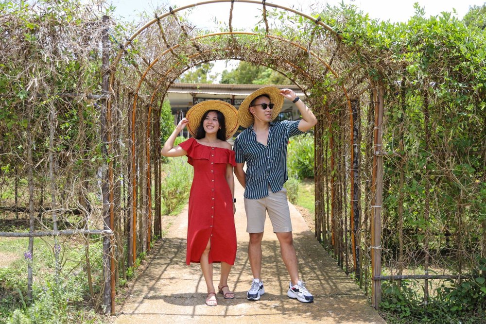 treasure bay bintan organic farm 