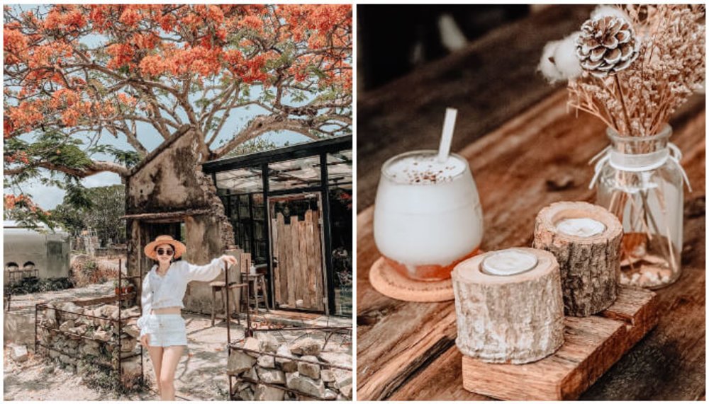 恆春景點:樹夏飲事