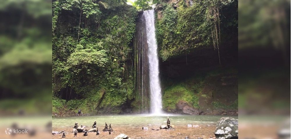 waterfall surrounded with lush greenery