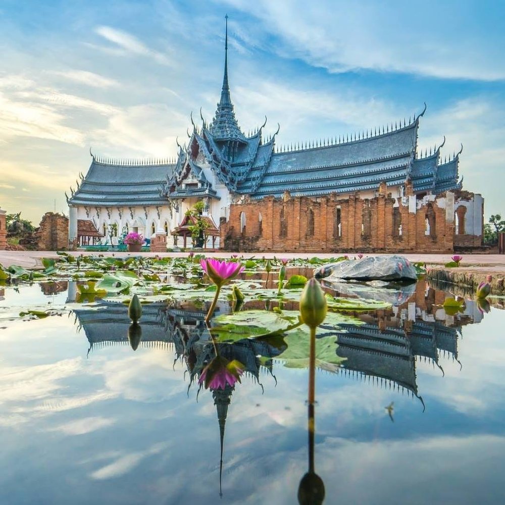 lily in a pond with a ancient temple background