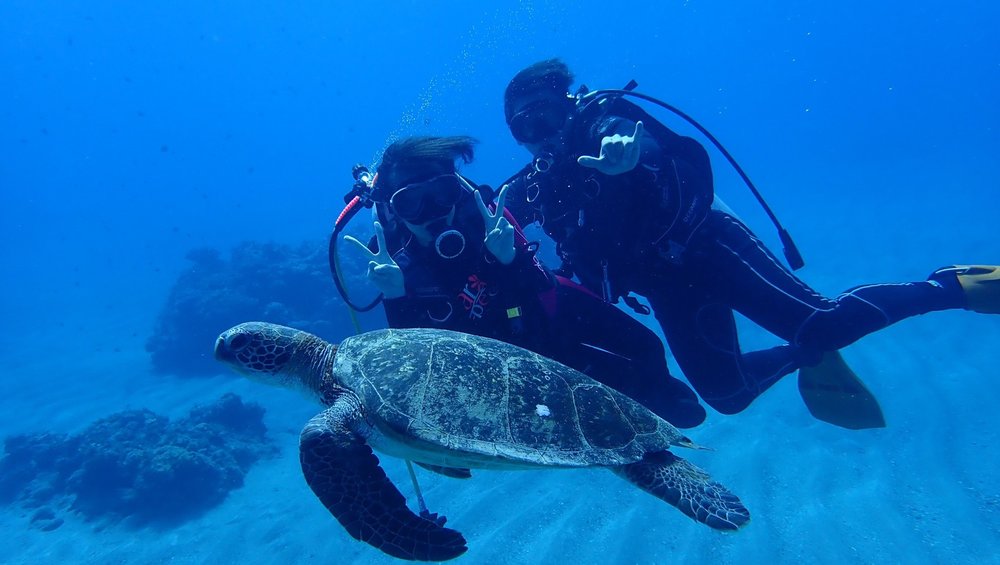 蘭嶼藍海屋潛水渡假村