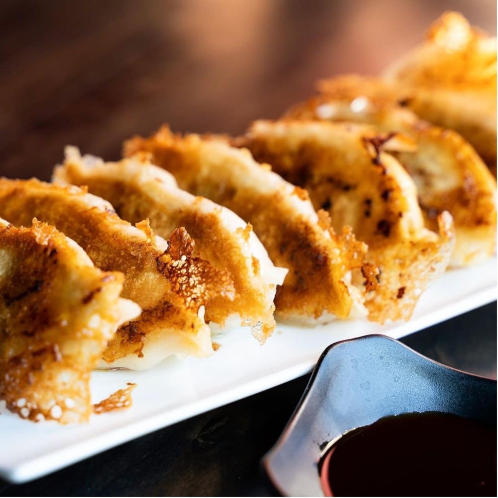 Gyoza in a plate