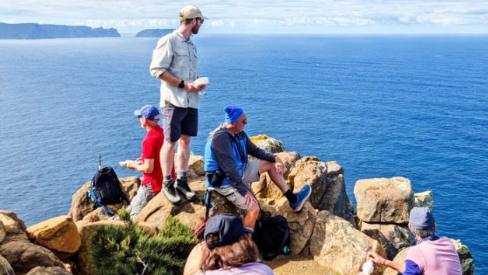 Credits: @jaseinthewild Tasman National Park