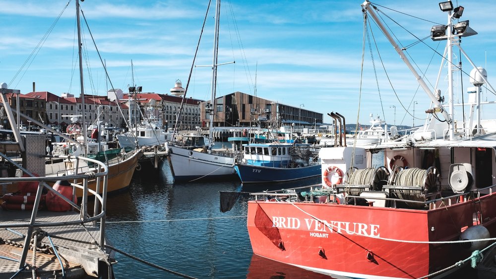 Credits: Alex Eckermann on Unsplash