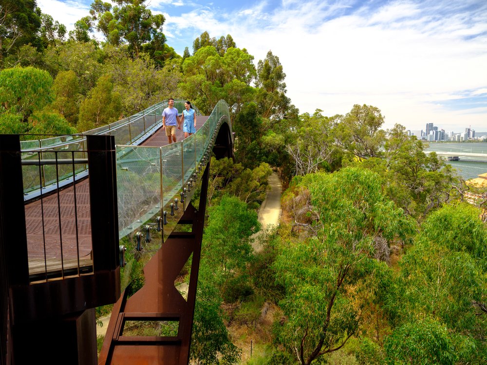 things to do in perth kings park 2