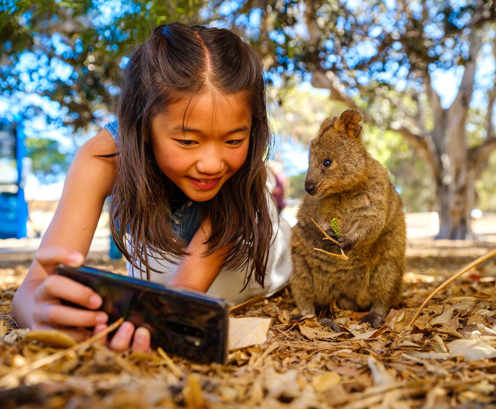 things to do in perth rottnest island