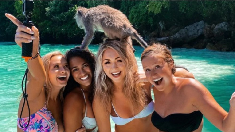 Interact with the mischievous monkeys of Monkey Island. Image credits: @drew.adventures on Instagram