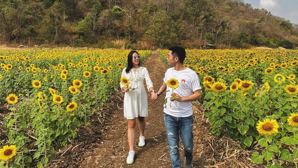 Nothing but sunny vibes at Saraburi Sunflower Field