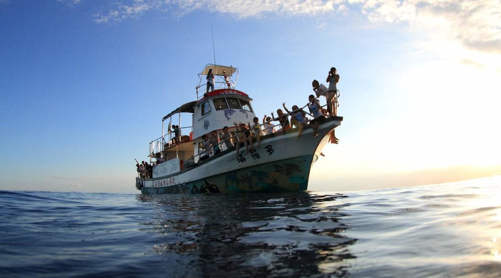 花蓮多羅滿賞鯨船