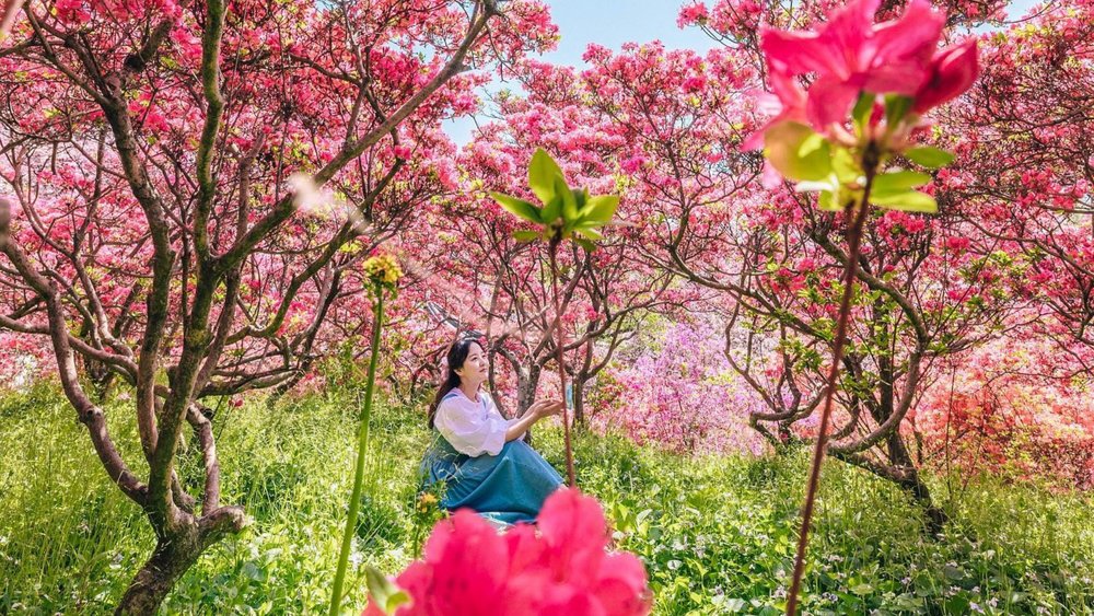 Travel to Korea’s historical city, Jeonju,  is much more convenient thanks to the KR Pass! Image credits: @kimvo97 on Instagram