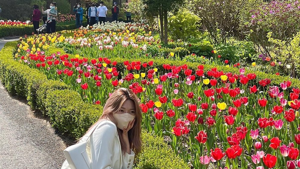 The Garden of the Morning Calm houses over 5,000 different plants. Image credits: @mini_mani_ssong on Instagram