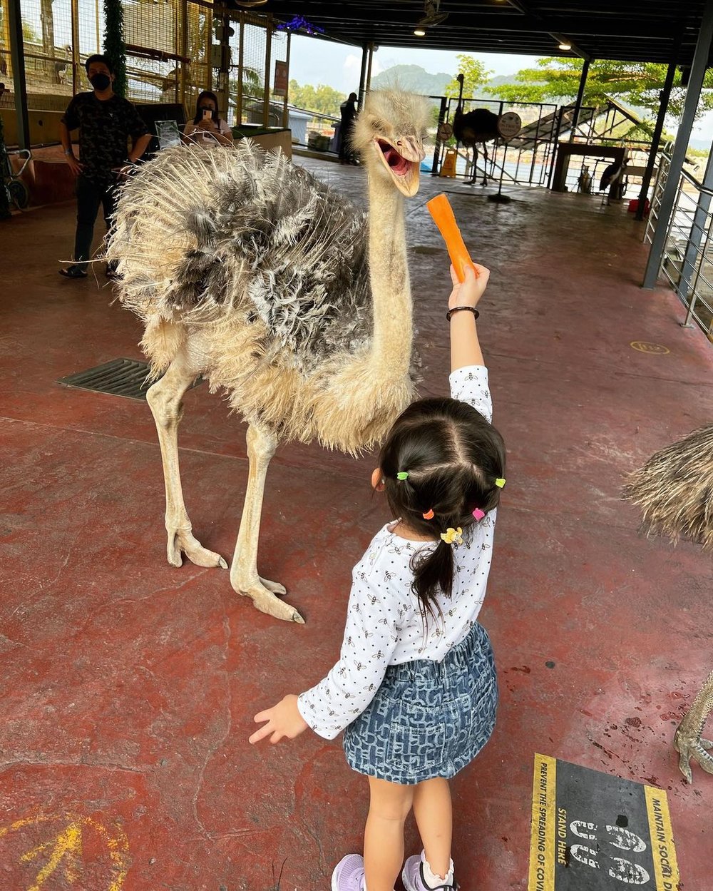 99 Wonderland Park wildlife in the city selayang kl review