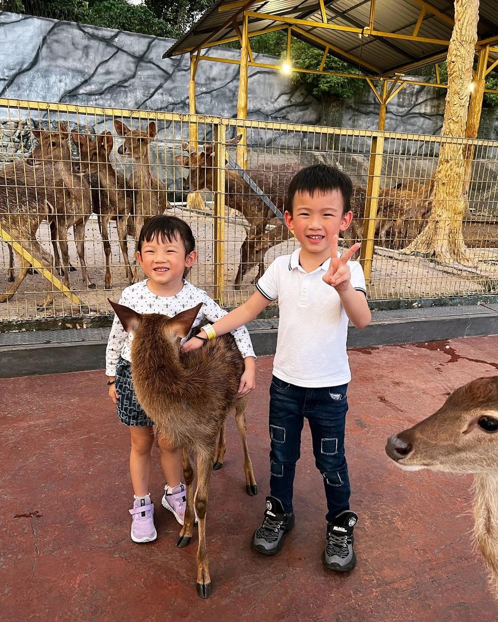 99 Wonderland Park wildlife in the city selayang kl review