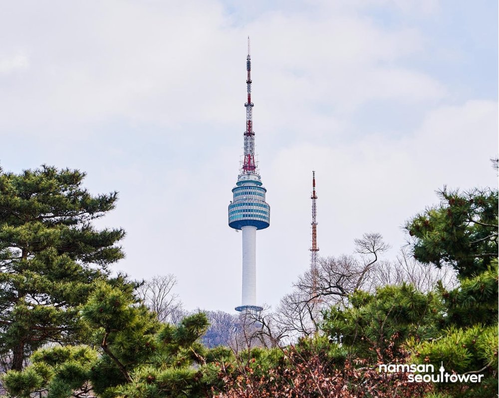 view of namsan tower from afar