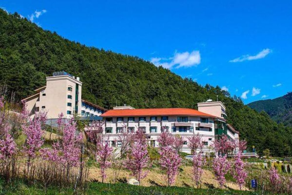 武陵農場住宿：武陵富野度假村