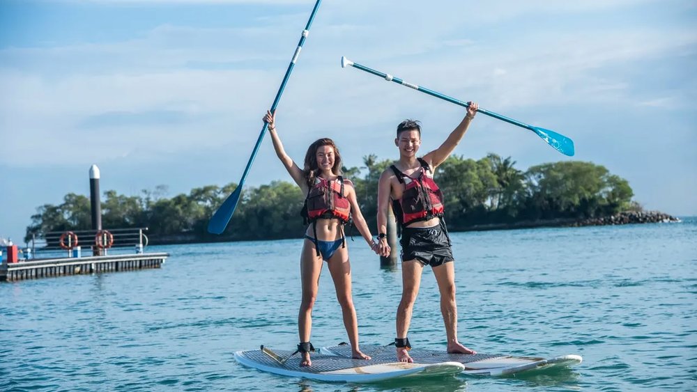 Dare to ride the waves!