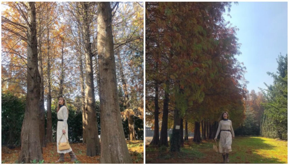 台中親子景點：魔菇部落生態休閒農場